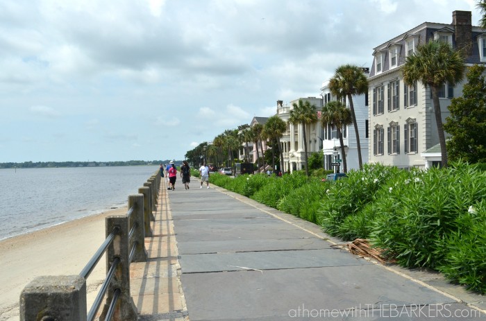 Summer Travel- Charleston Walking Tour The Battery