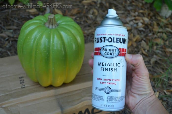 Plastic Pumpkin-Rustoleum-Spray-paint