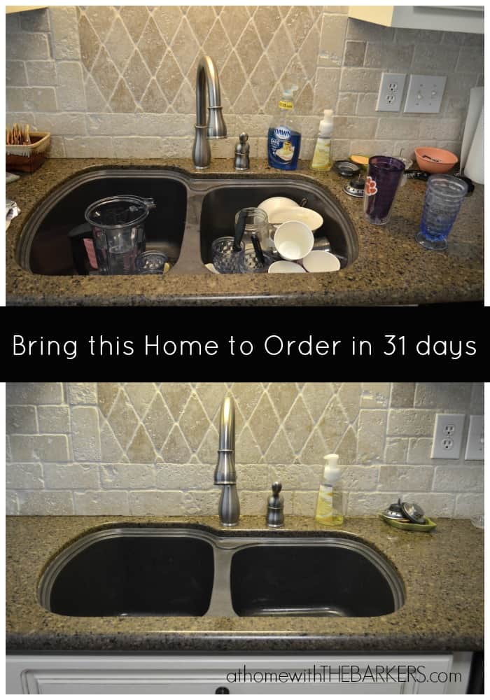 31 Days Clean the Sink