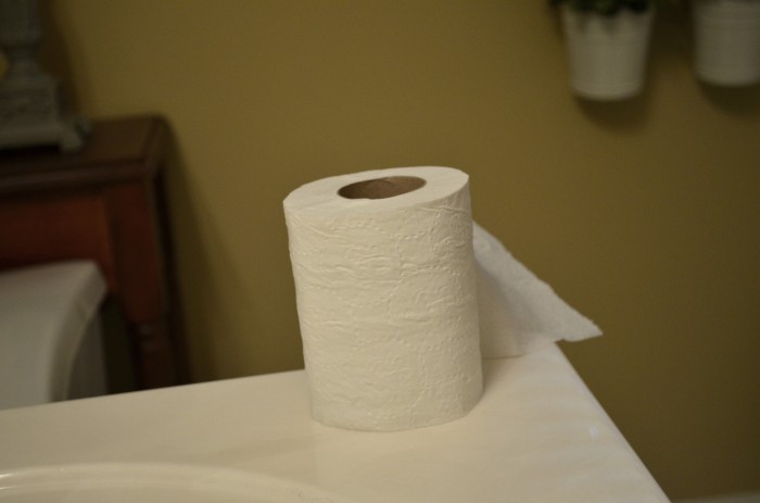 31 Days Toilet Paper