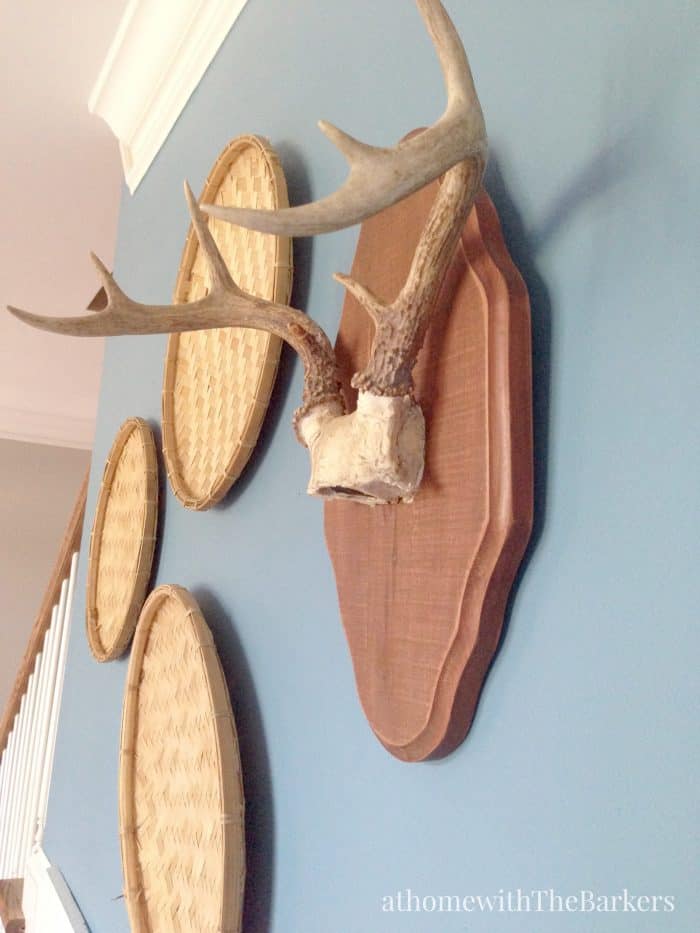 Mounted Antlers Dining Room Wall Display