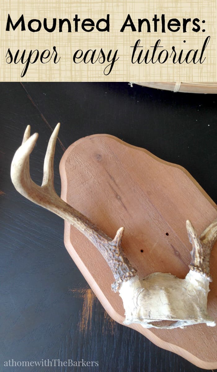 Mounted Antlers-Super Easy Tutorial