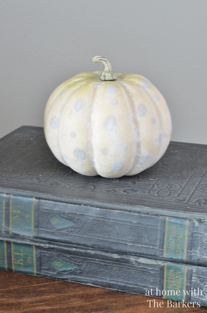 Painted Pumpkins for Fall 2014
