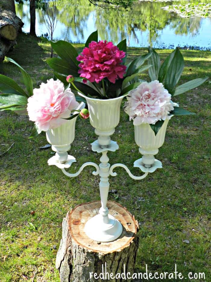 Peonies Candelabra-Redhead can Decorate