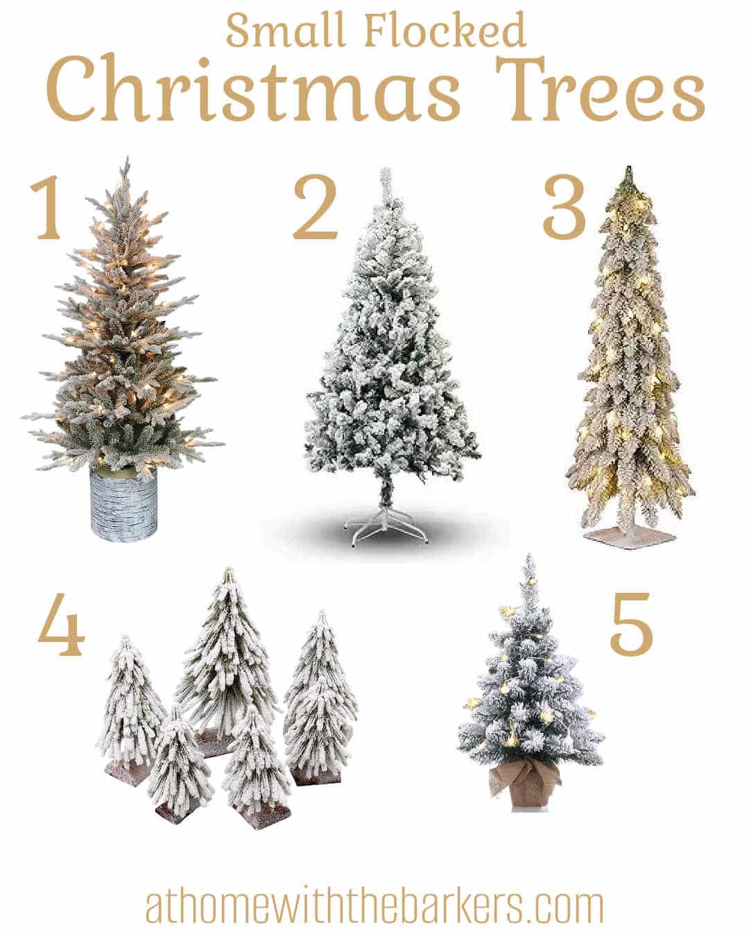 Graphic with photos of 5 small flocked christmas trees to buy
