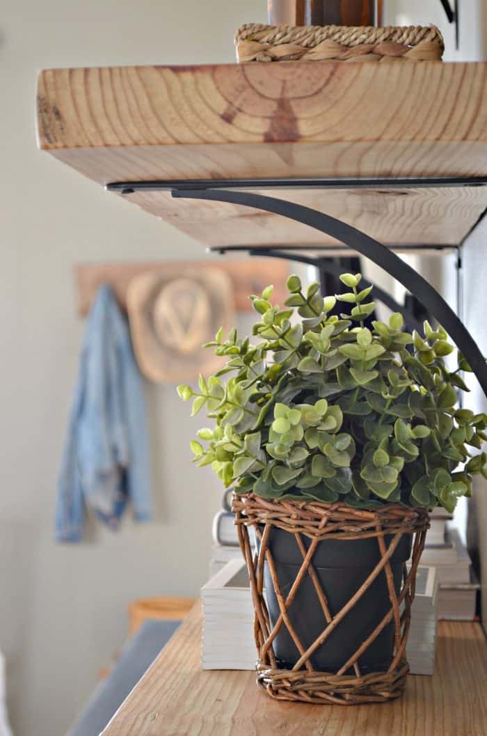 Greenery details are the perfect shelf styling item.