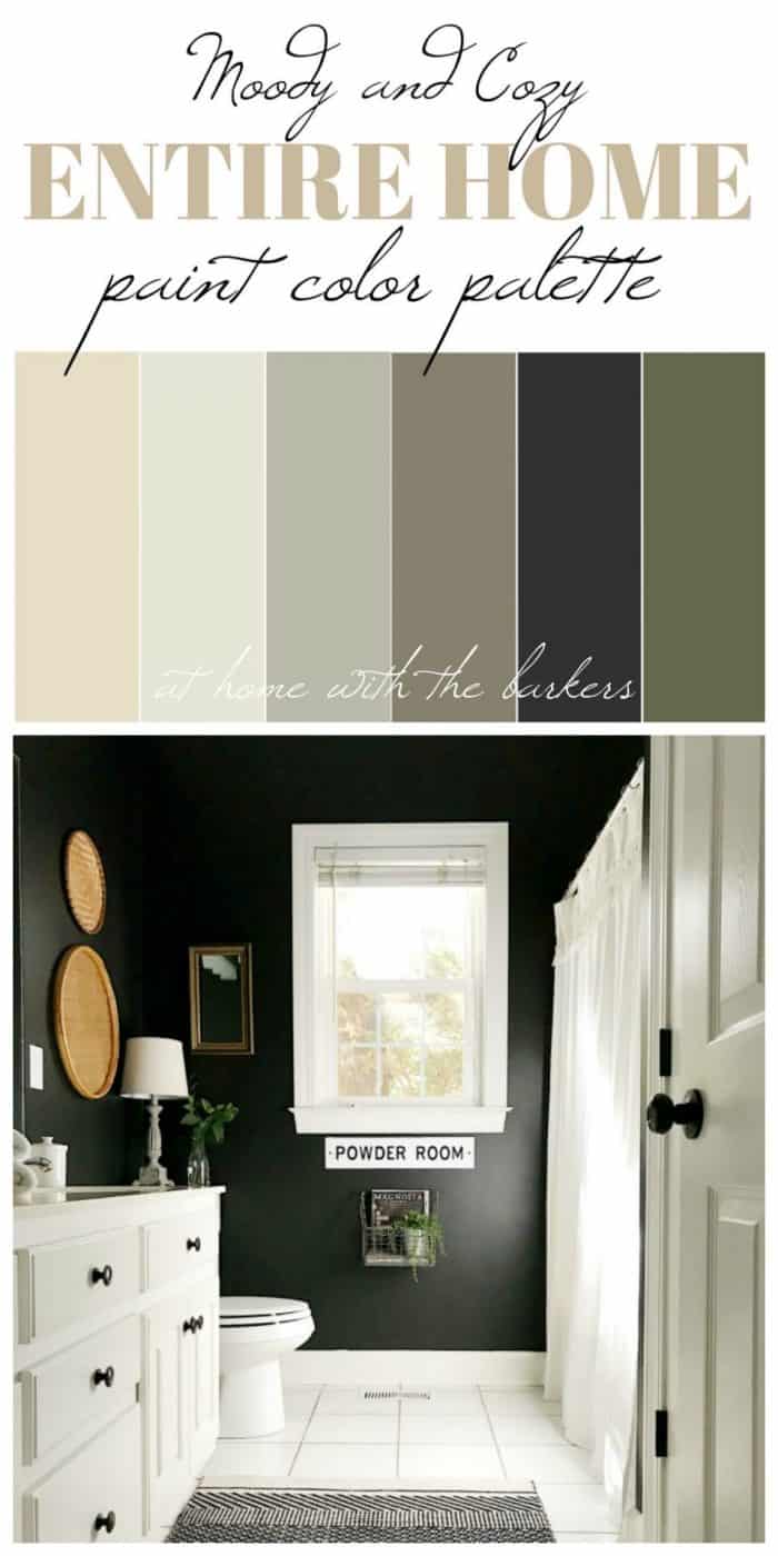 Moody and calming interior paint color palette
