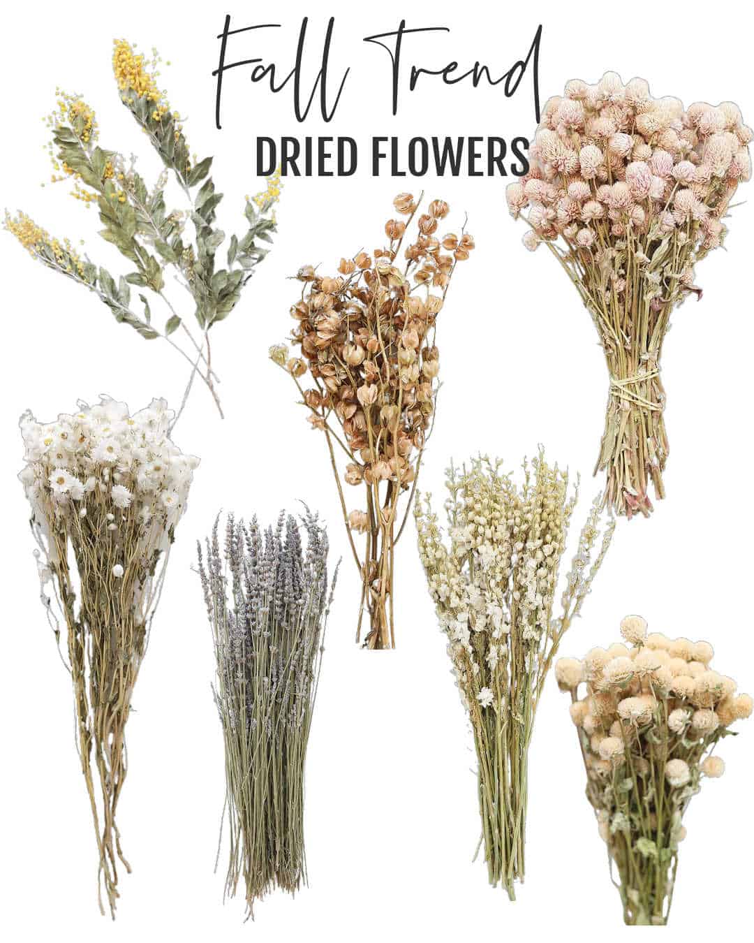 Dried Flower Fall Trend graphic