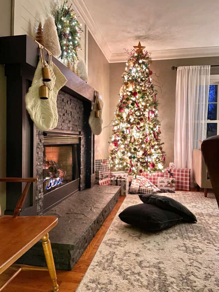 Christmas Nights Tour 2021 - At Home With The Barkers