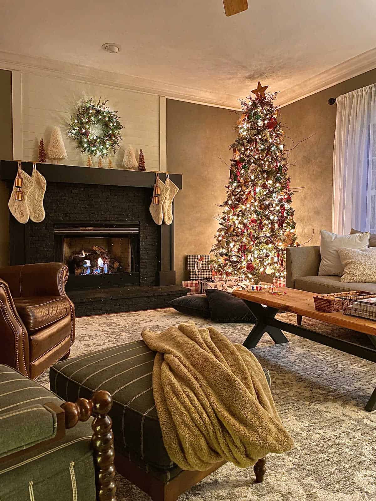 Christmas Nights Tour 2021 - At Home With The Barkers