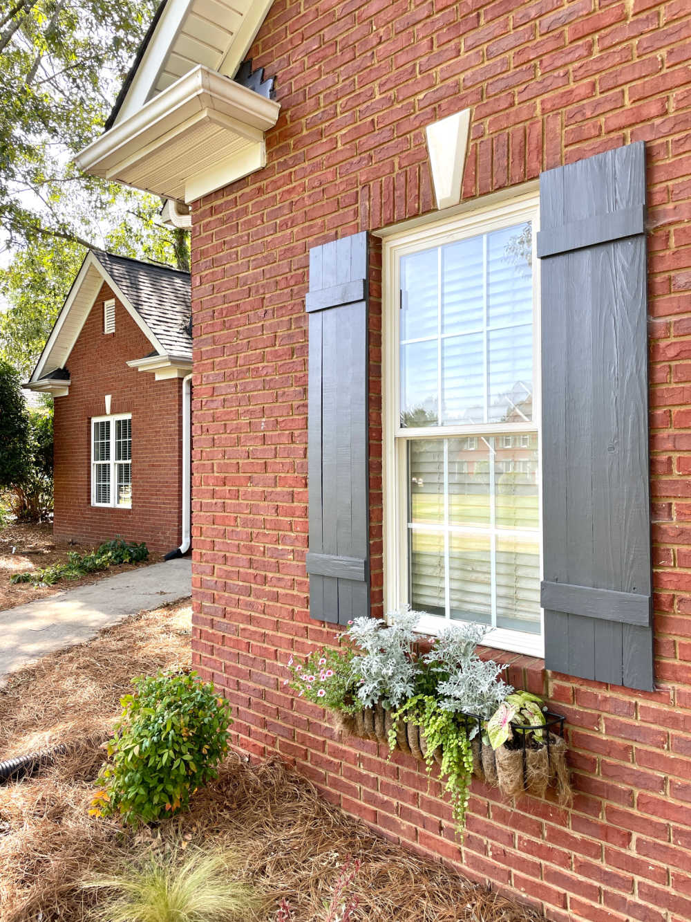 house windows with shutters