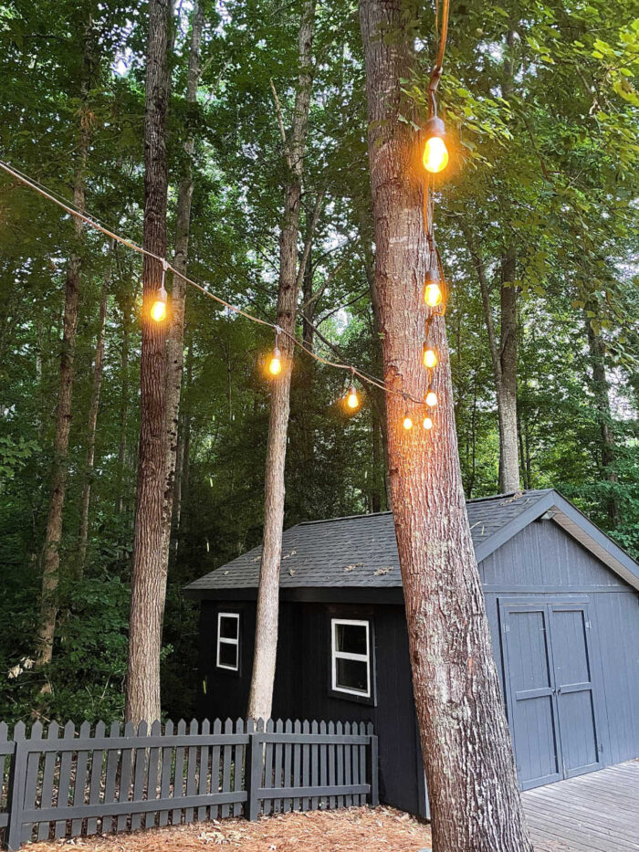 How to hang string lights to a tree - At Home With The Barkers