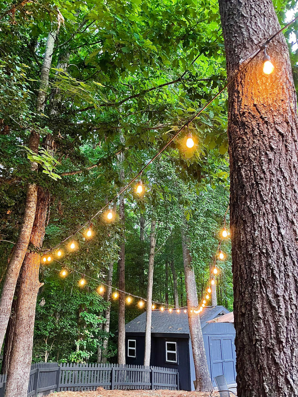 outdoor string lights attached to trees