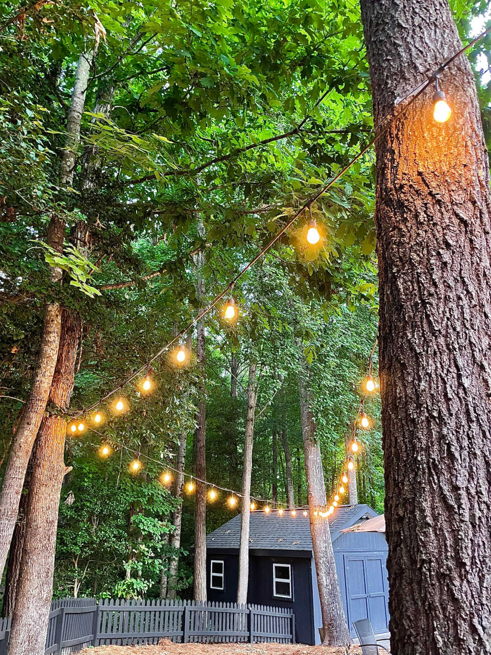 How to hang string lights to a tree - At Home With The Barkers