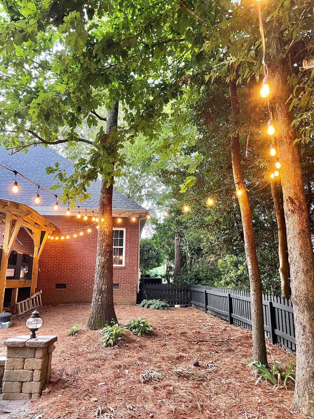 outdoor string lights attached to trees