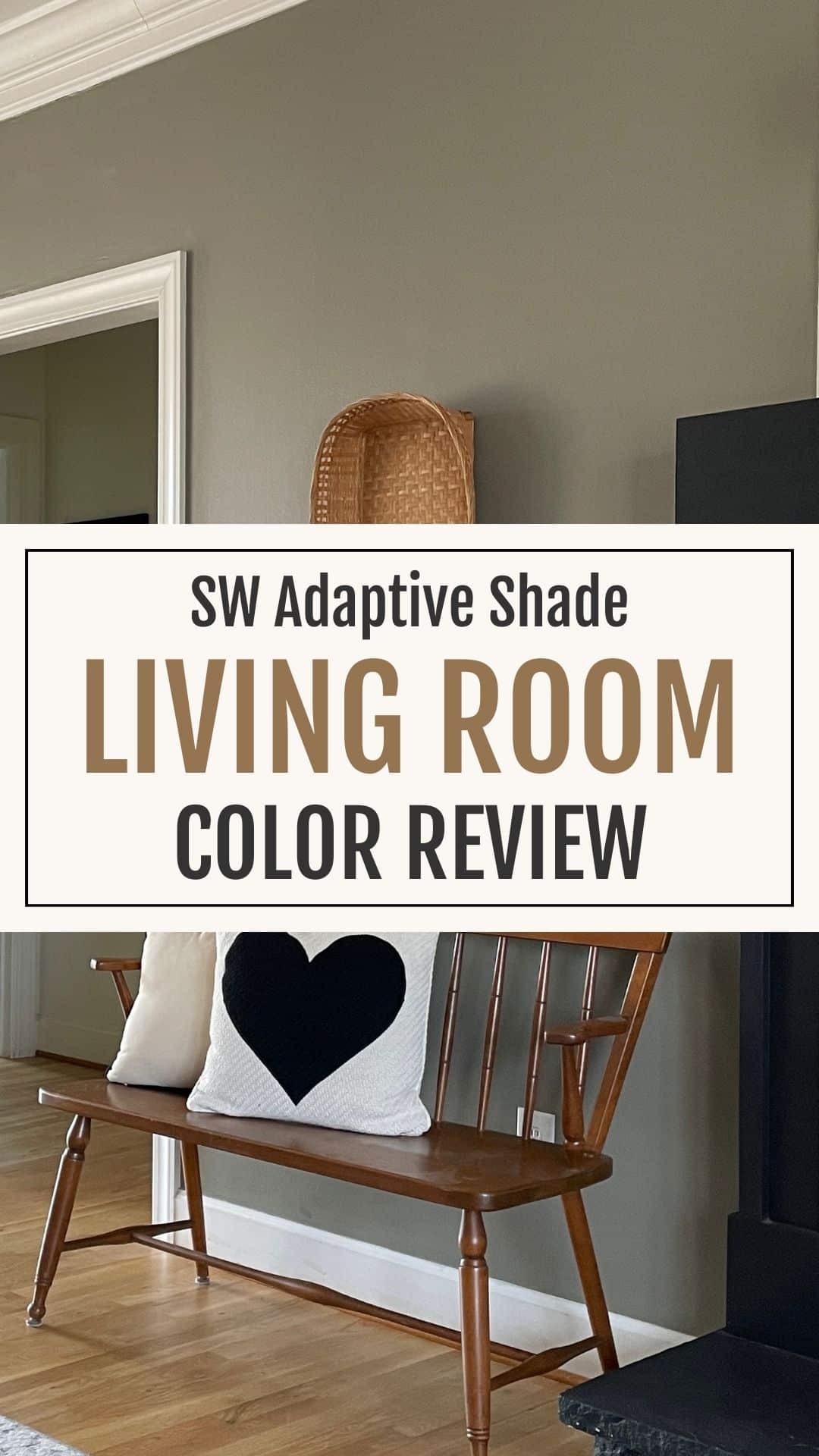 living room walls painted in Adaptive shade paint color