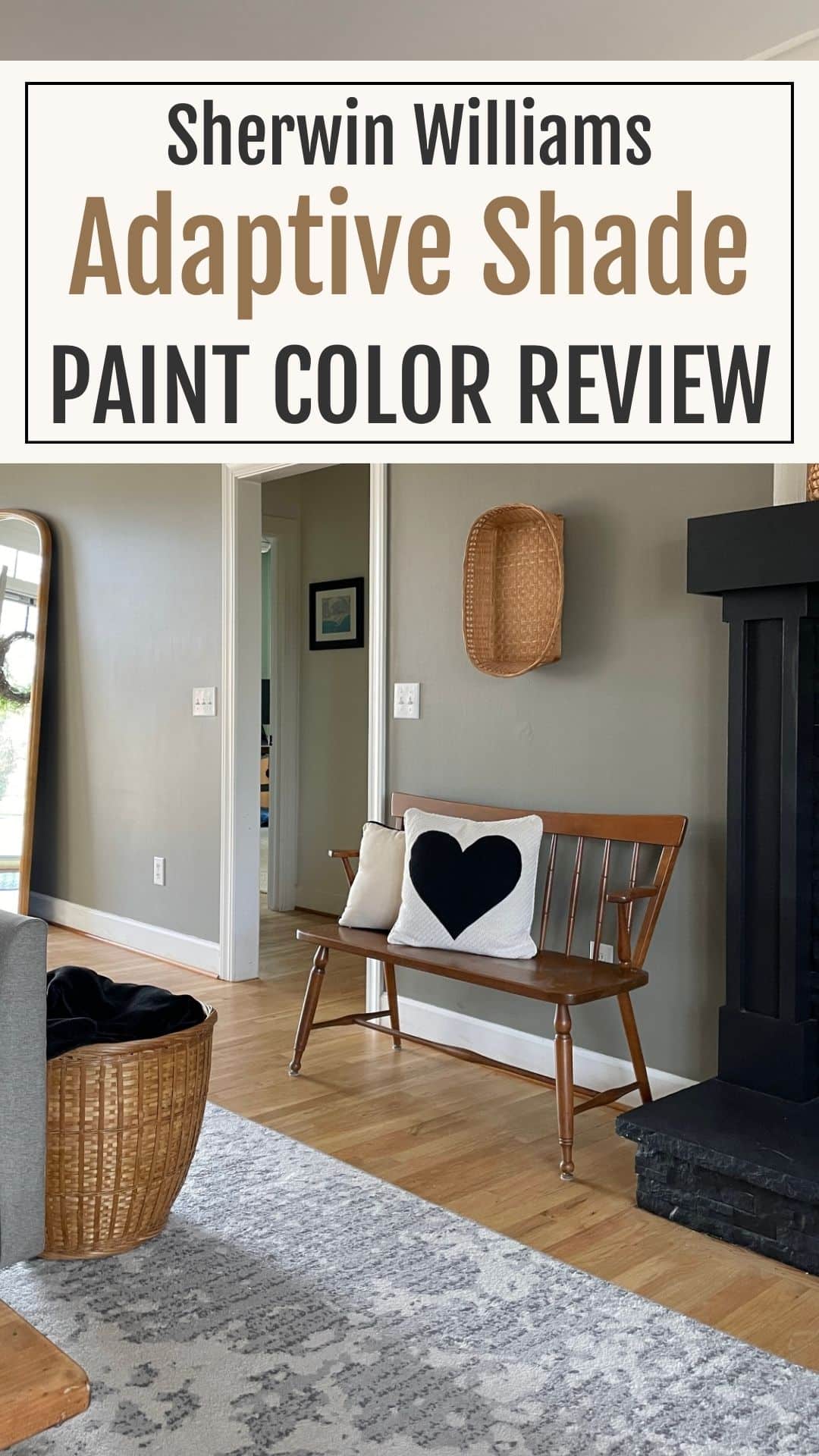 living room walls painted in Adaptive shade paint color