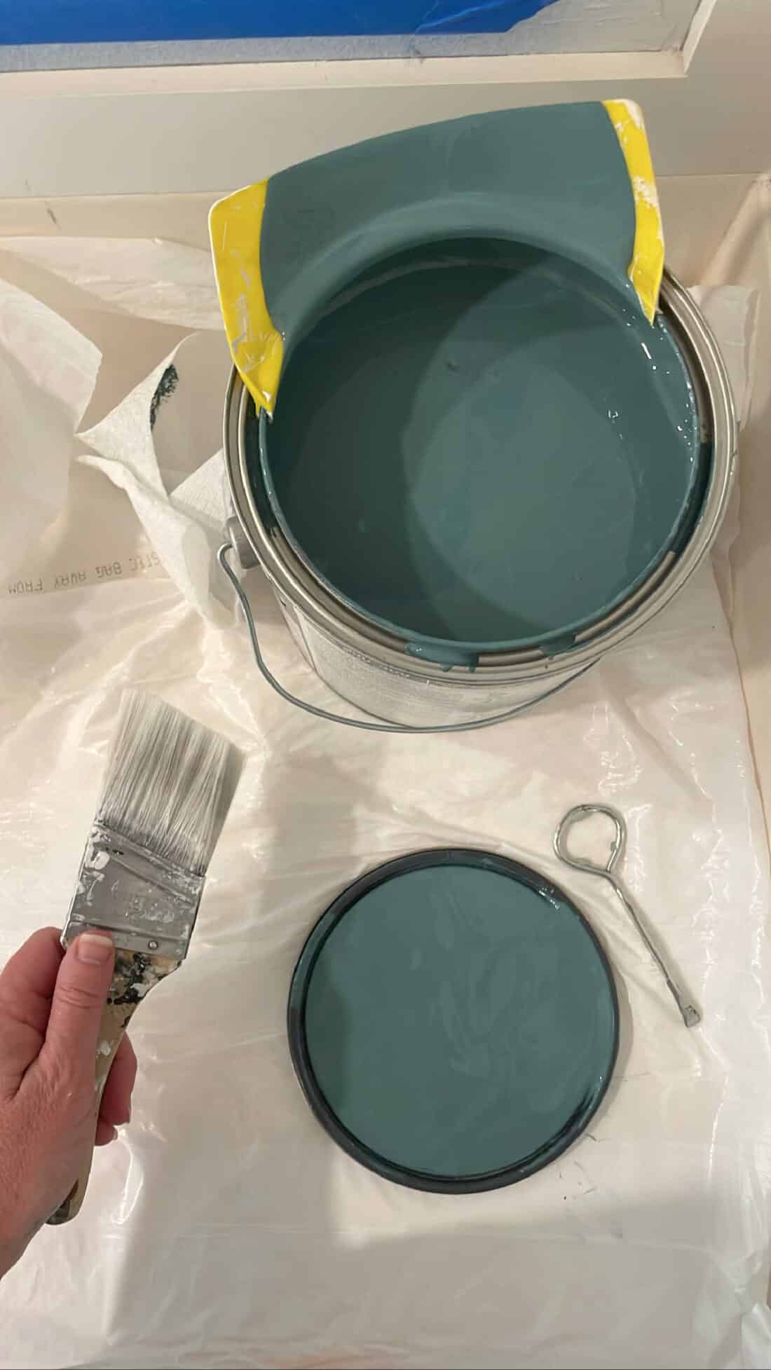 Sherwin Williams Mediterranean paint color in the can 