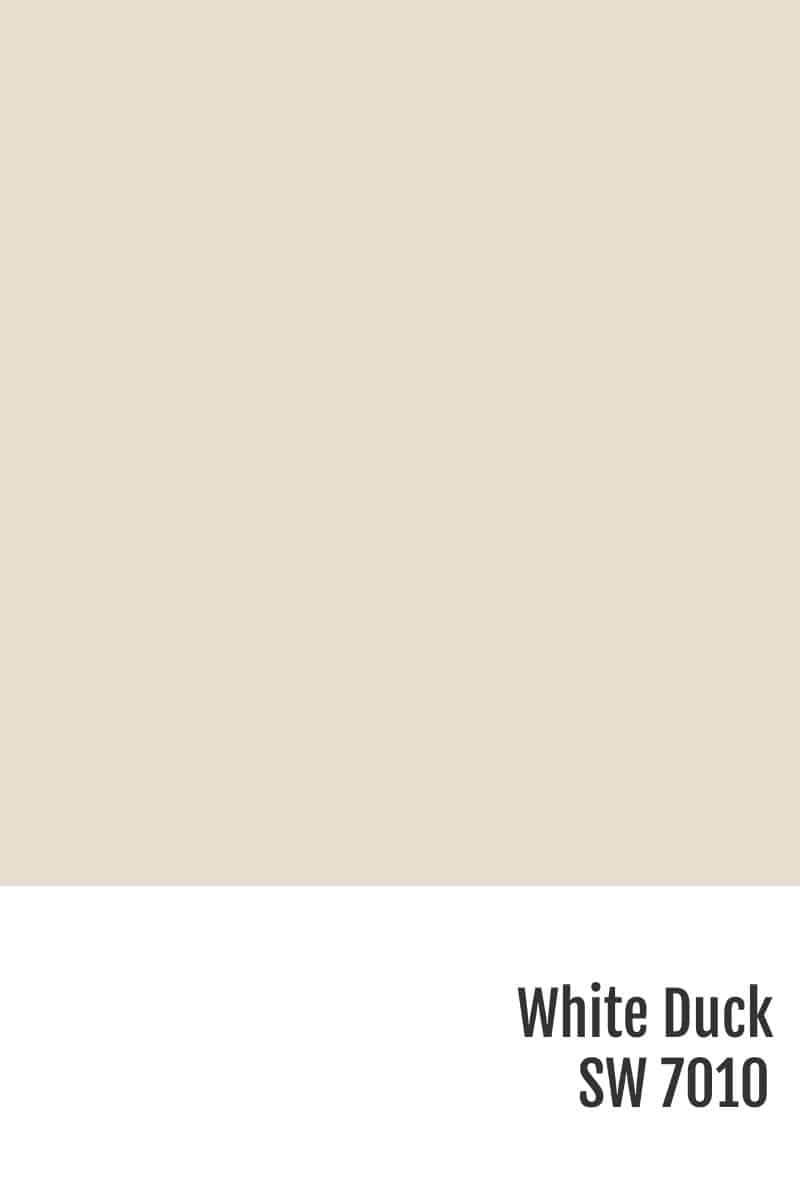 Paint swatch of White Duck SW 7010