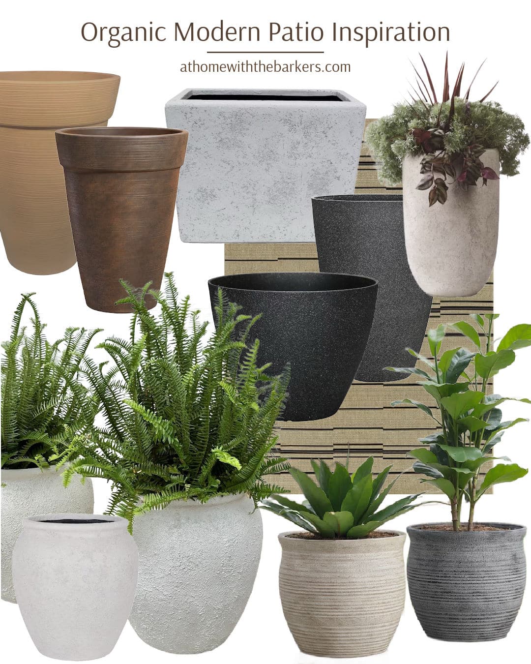organic modern style planters from Lowes