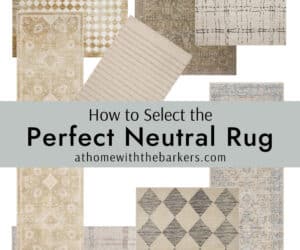 8 Neutral color rugs from Wayfair in a graphicm How to select the Perfect neutral rug
