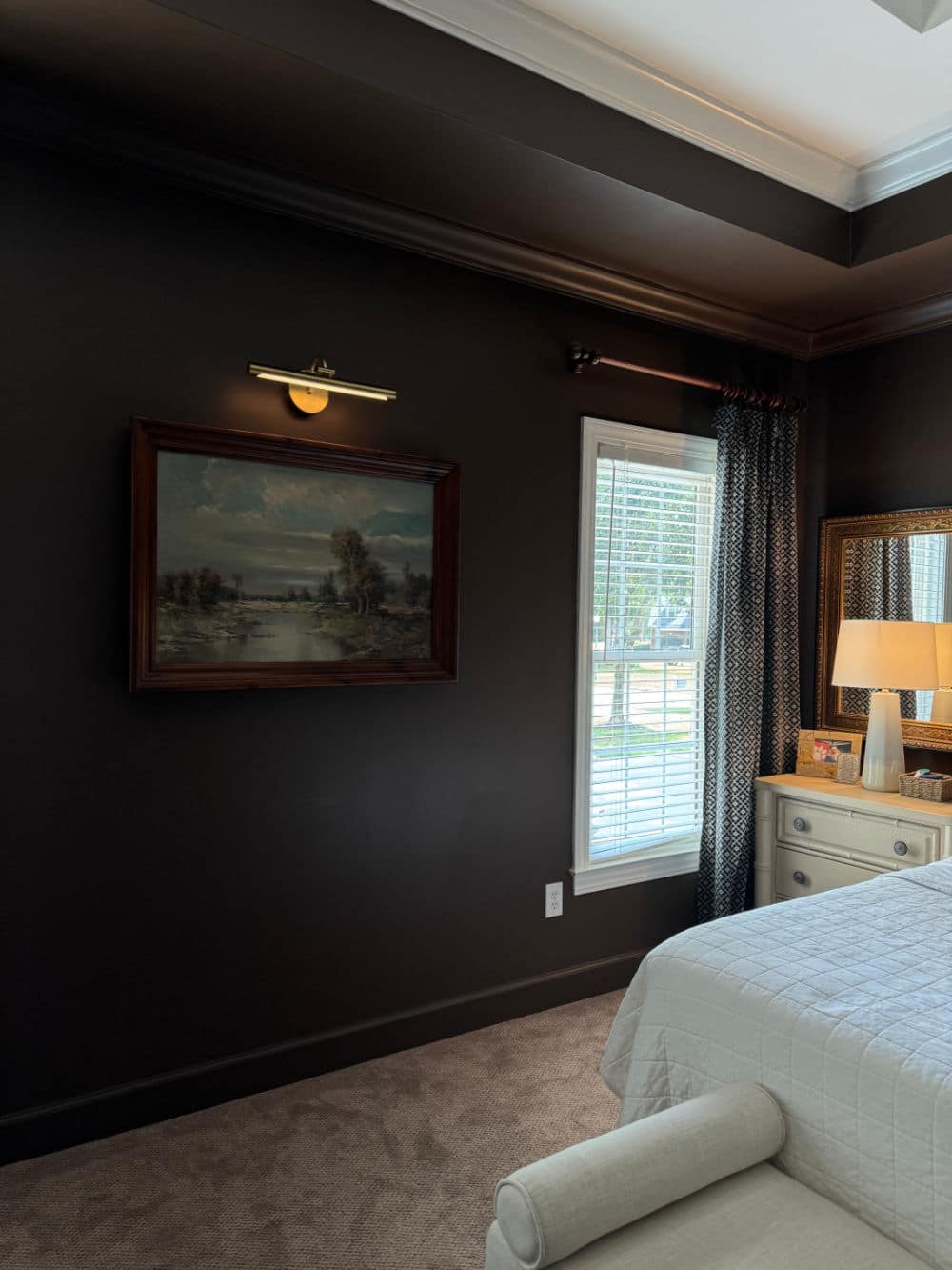 Battery Picture Light in primary bedroom