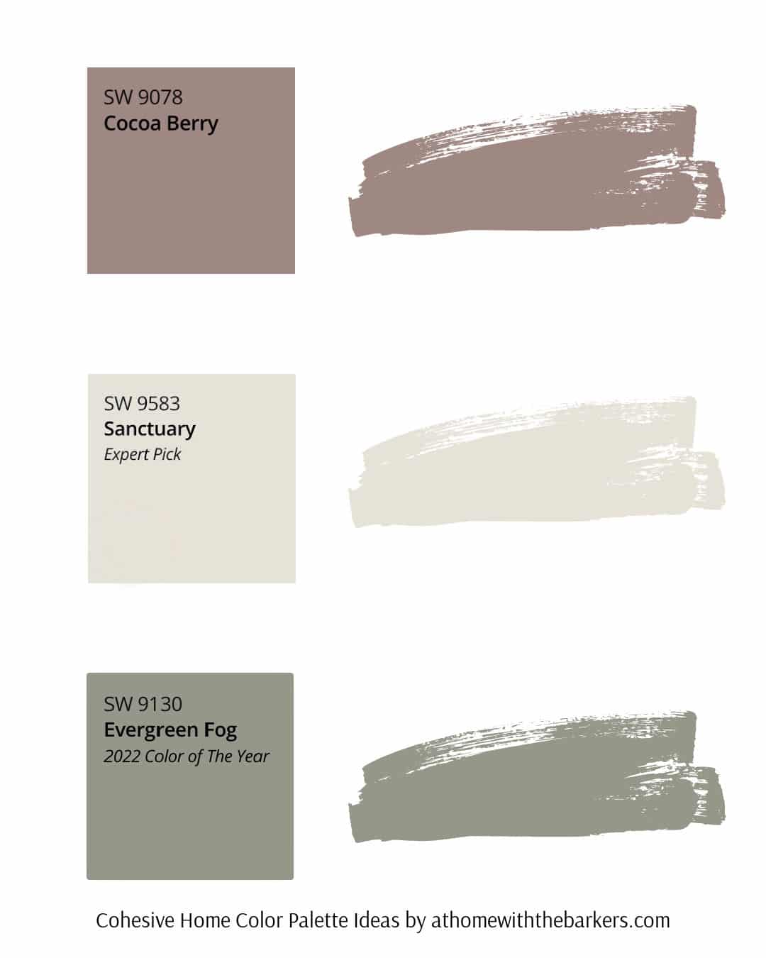 SW Cocoa Berry, Sanctuary and Evergreen Fog