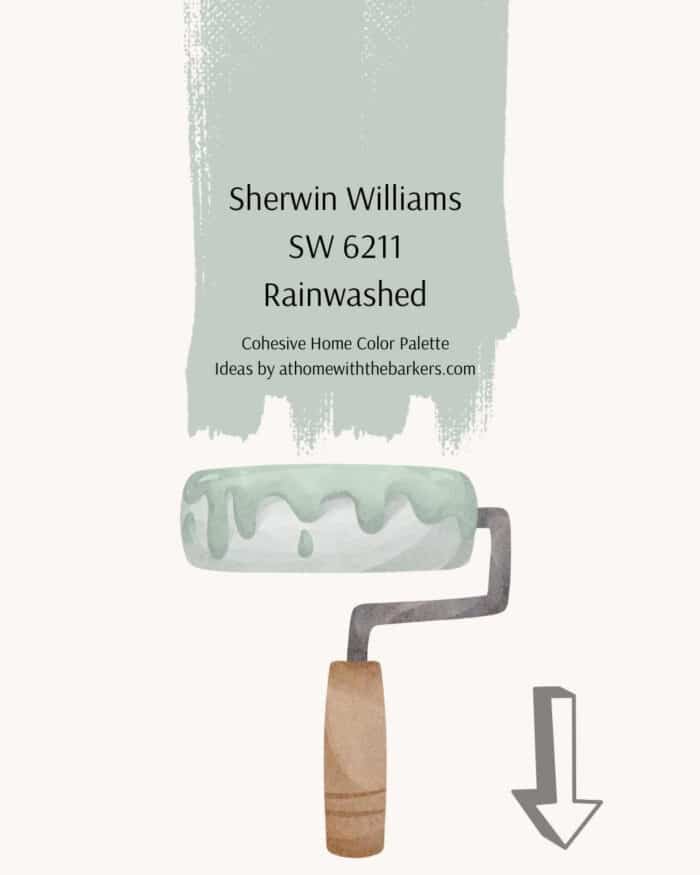 SW Rainwashed Paint roller