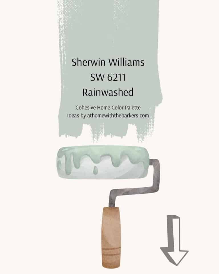 SW Rainwashed Paint roller