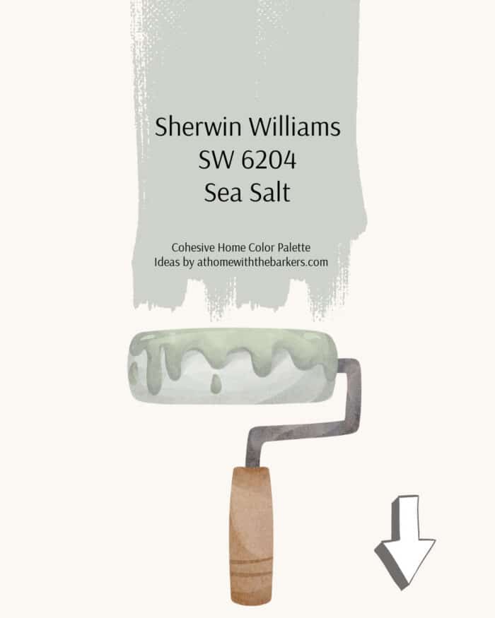 Sea Salt Paint roller graphic photo