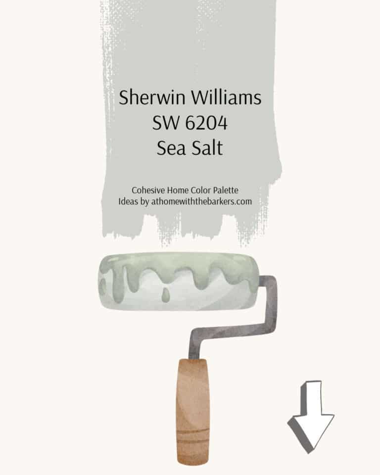 Sea Salt Paint roller graphic photo