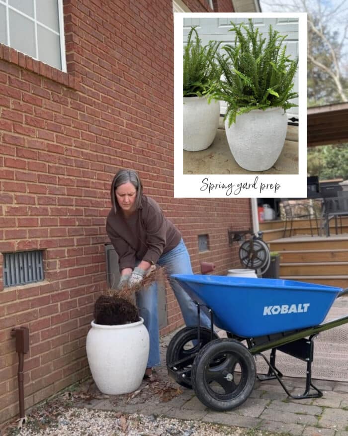 Woman standing beside a wheelbarrow tossing in a dead plant